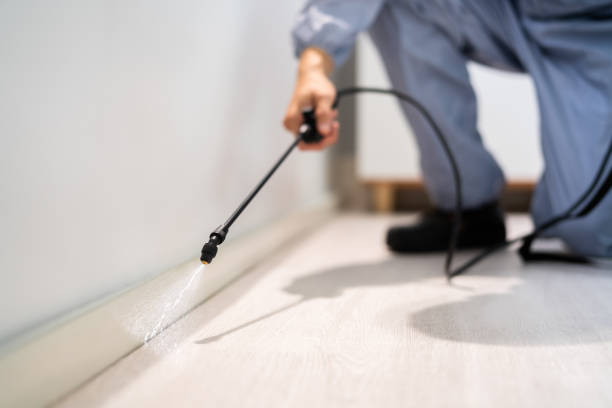 Professional exterminator conducting IPM assessment in Mineral Point