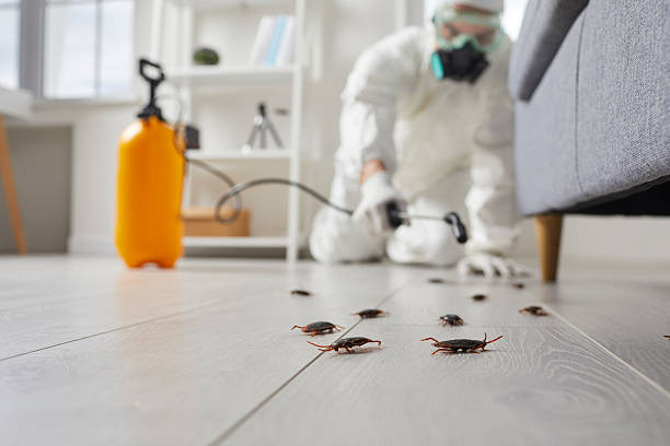 Post-Treatment Bed Bug Interceptor Monitoring in Mineral Point